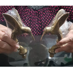 Vintage Hummingbird Brass Faucet Spigot – Decorative Outdoor Garden & Kitchen Tap | Made in Thailand