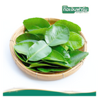 50g getrocknete Kaffirlimettenblätter zum Kochen Gorngern K