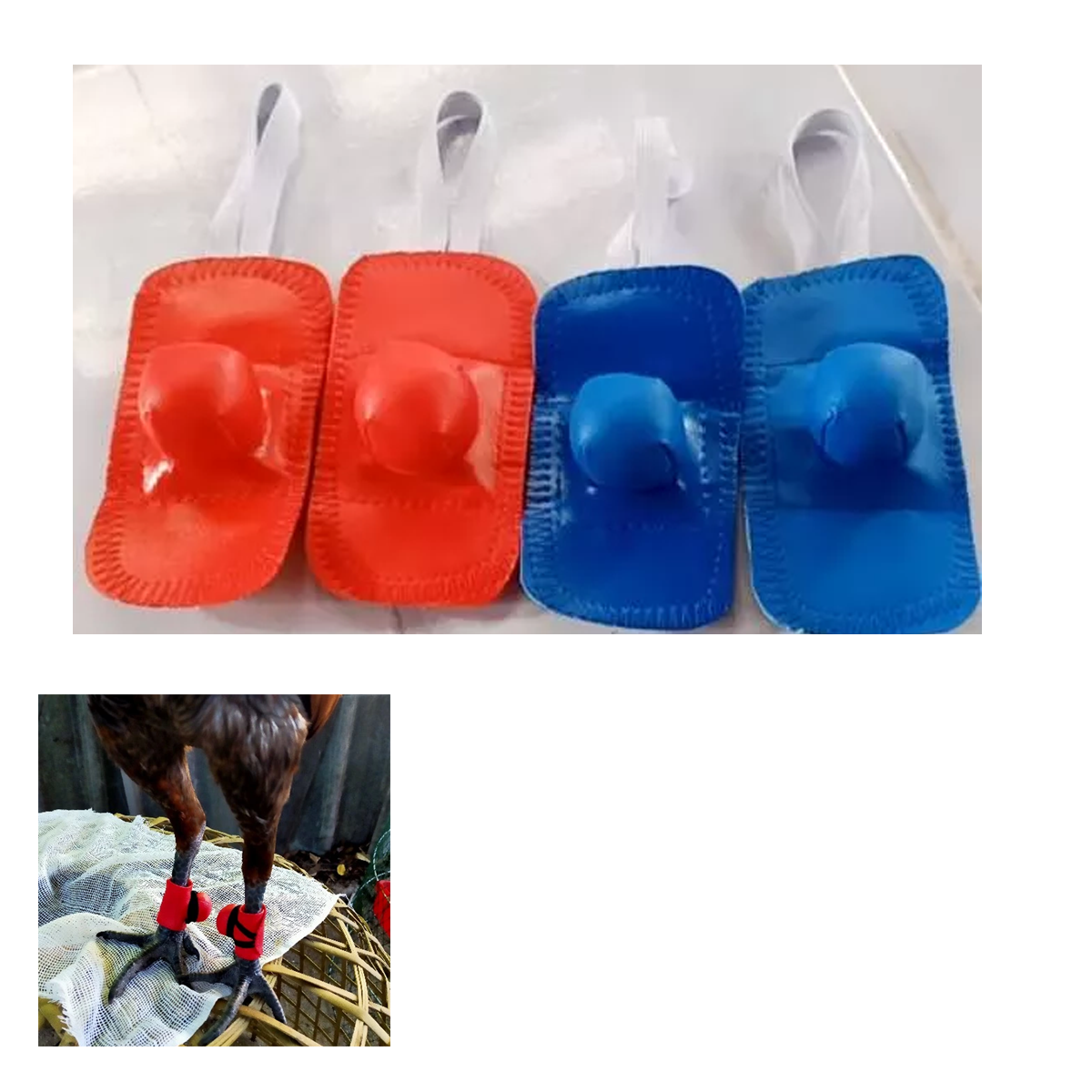 Rooster Spur Leg Guard – Flexible Rubber Safety Protector for Chickens (Red & Blue)