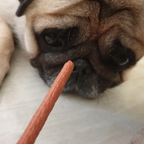 JerHigh チキンほうれん草 リアルチキンミートスティック 犬用スナック 400g