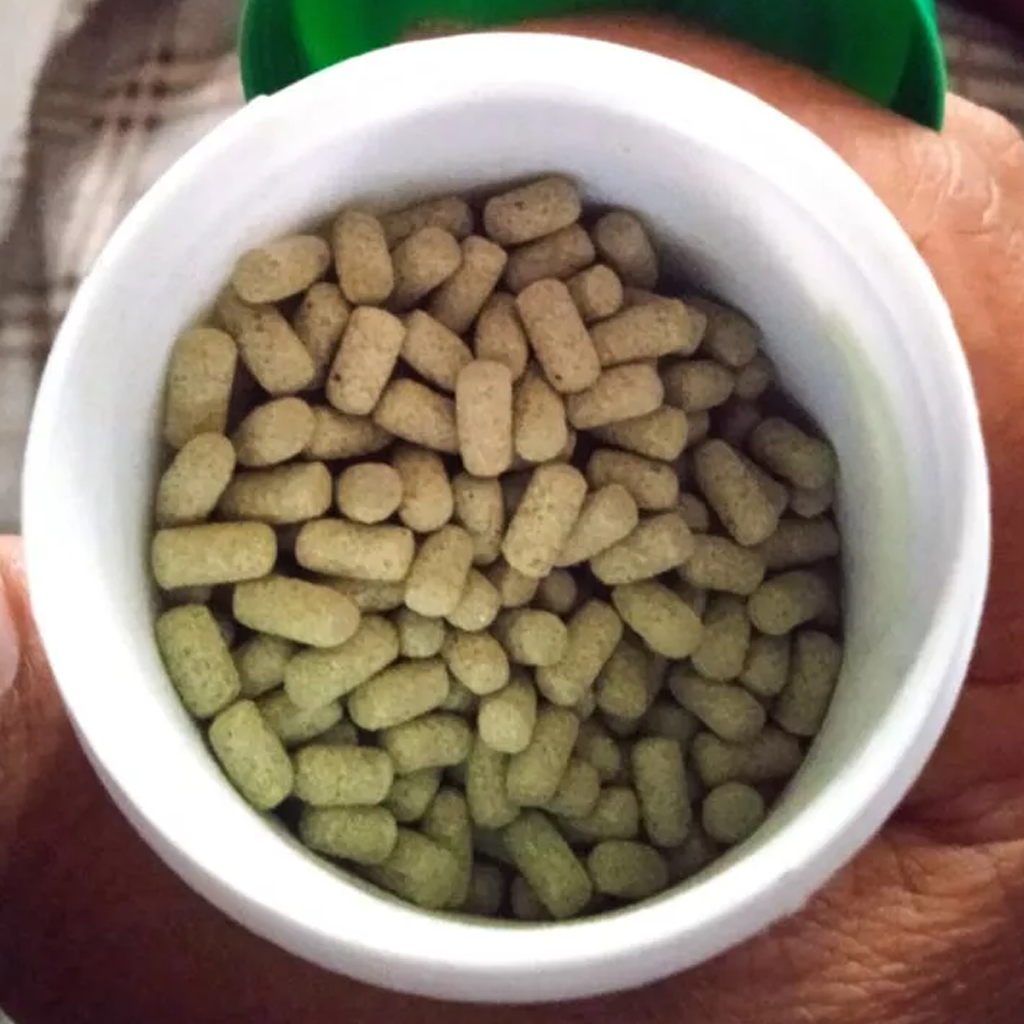 40g Schildkrötenfutter Hochwachstum Hochkalzium Optimal K