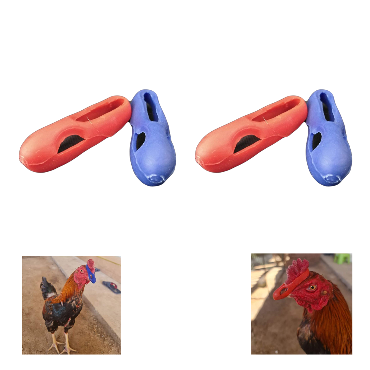 Chicken Rooster Mouth Guard – Flexible Rubber Safety Protector (Red & Blue)
