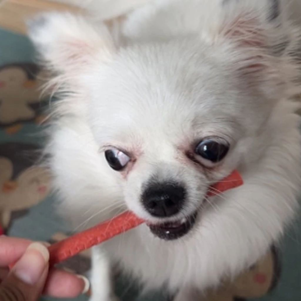 JerHigh チキンほうれん草 リアルチキンミートスティック 犬用スナック 400g