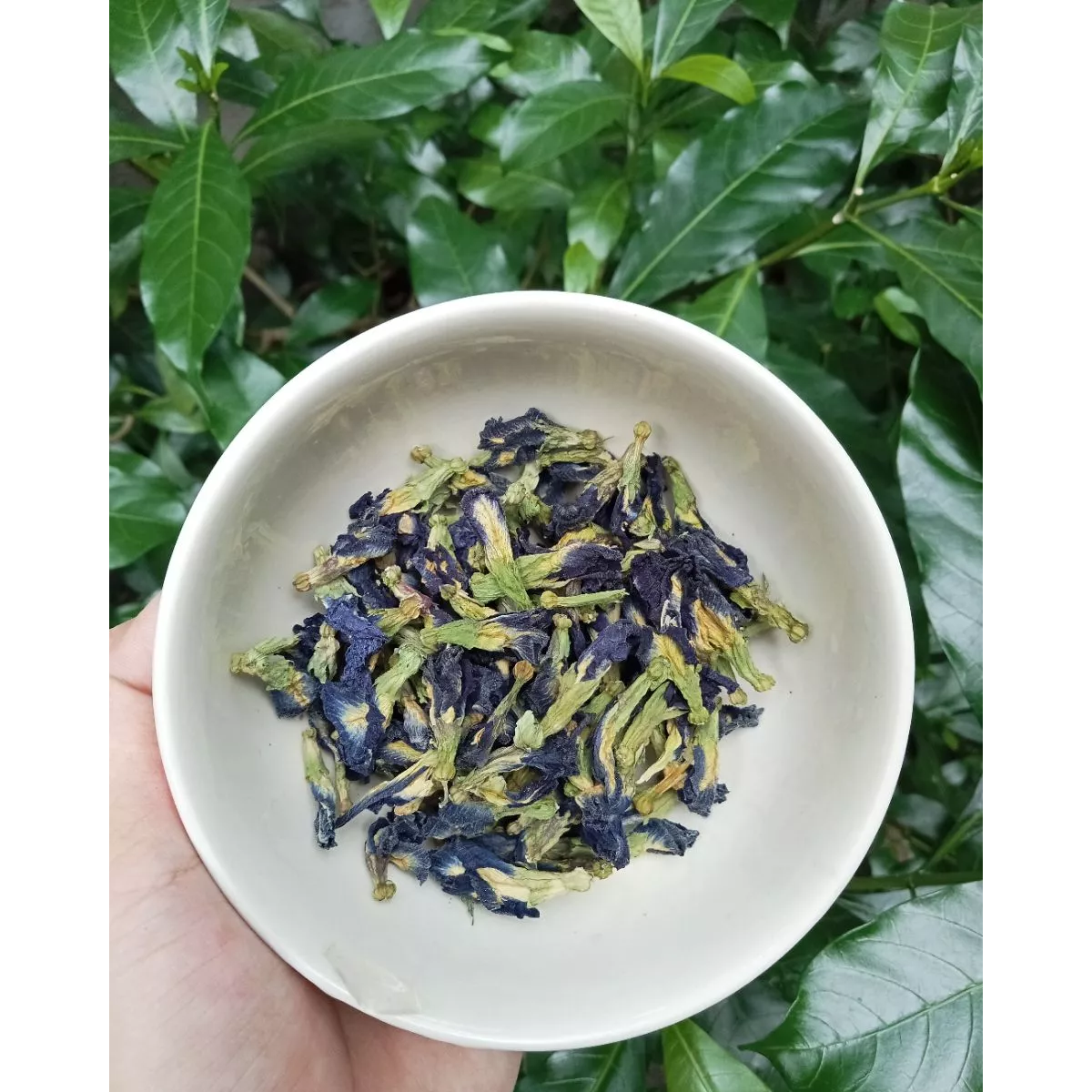 50g/100g Dried Butterfly Pea Flower