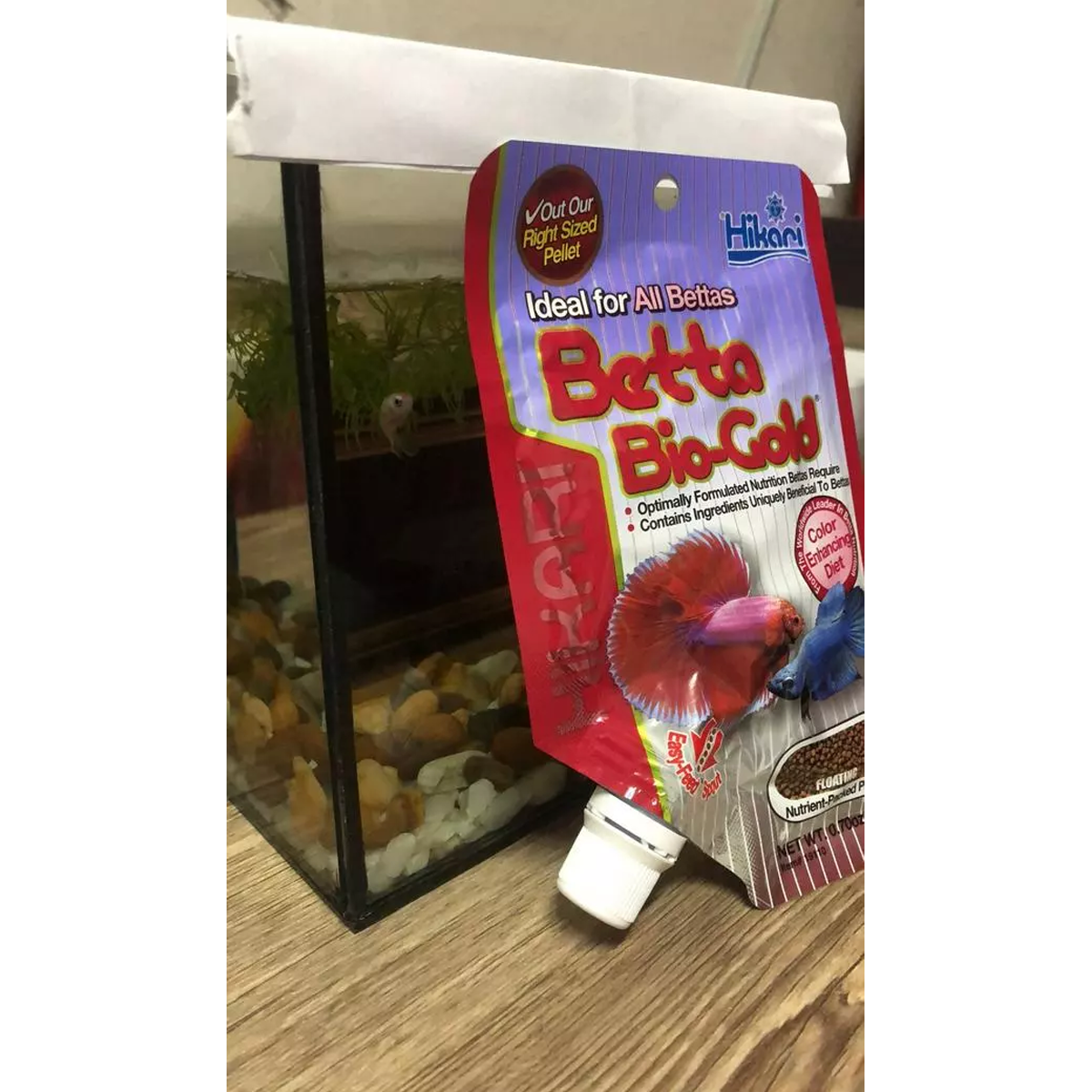 ベタフード 20g 闘魚フード 高栄養 ひかりベタバイオゴールド K