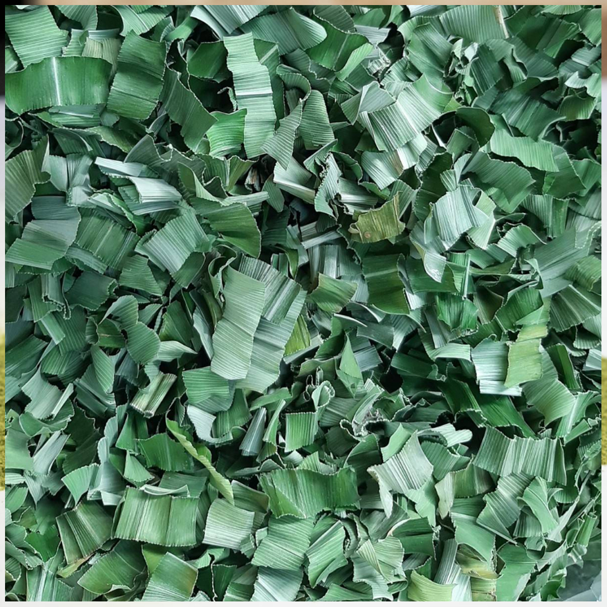 Pandan Leaves Powder 100% For Drinks Bakery Cake Beverage Sugar Free Gorngern K