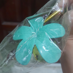 Close-up of green frangipani flower on NUANPAN BRASS toilet paper holder