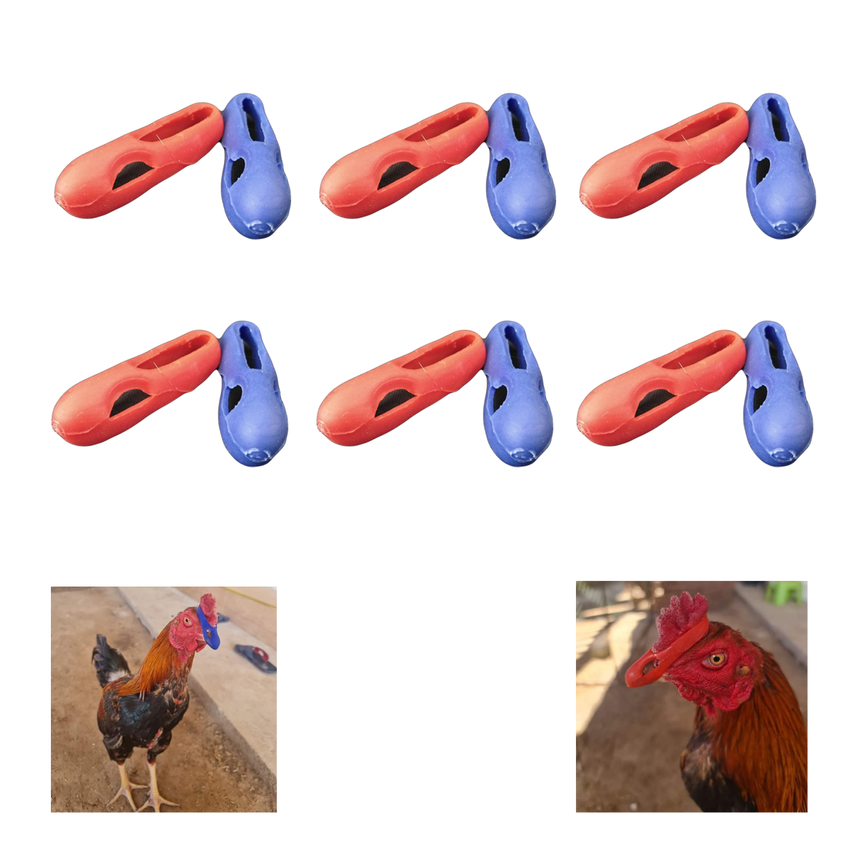 Chicken Rooster Mouth Guard – Flexible Rubber Safety Protector (Red & Blue)