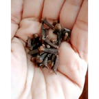 150g Dried Cloves Gorngern Farm Brand 100% Natural Thai Herb Spice HACCP