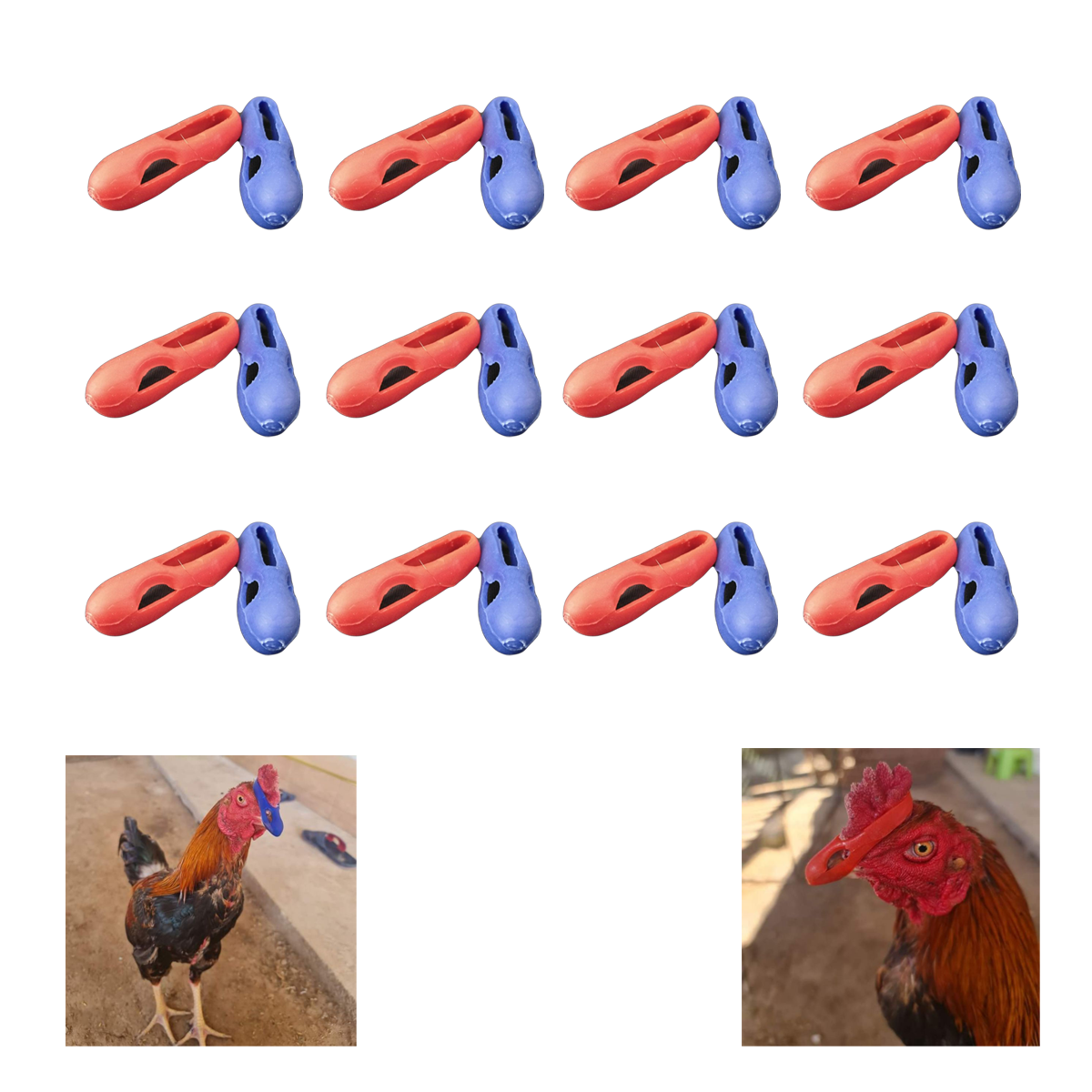 Chicken Rooster Mouth Guard – Flexible Rubber Safety Protector (Red & Blue)