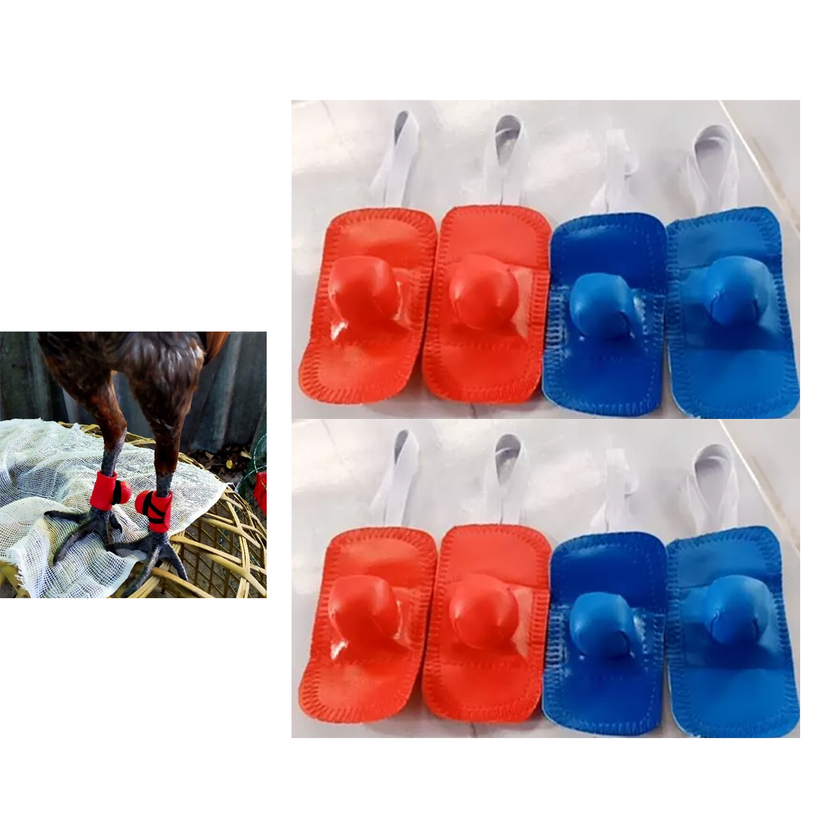 Rooster Spur Leg Guard – Flexible Rubber Safety Protector for Chickens (Red & Blue)