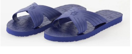 Nanyang Changdao Birdie Model Flipflop Sandals Natural Rubber Shoes K